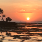 Panduan Surf Trip dari Bali ke G-Land untuk Surfer yang Ingin Naik Level